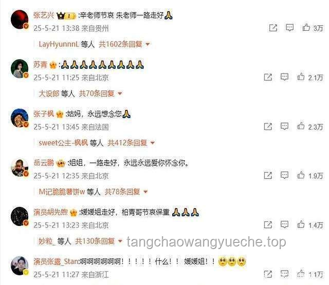 “朱媛媛捐赠事件”真相与谣言对比分析